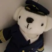 みかんKの画像
