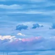ロータスの画像