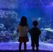 プロフ確認願いますの画像