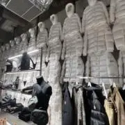 すの画像