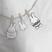 ぱにぱに@まとめ買い値下げ可能の画像