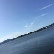 minn3380の画像
