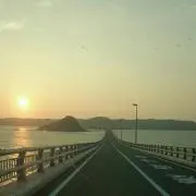 ぴーこ♥︎の画像