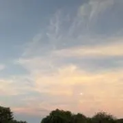 yyyの画像