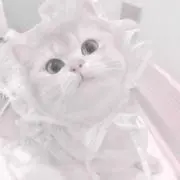 ♩