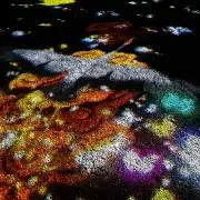 ルミの画像