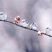 boandmoの画像