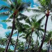 ETの画像
