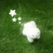 おもちの画像