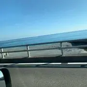 ぞえもんの画像