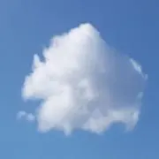 くるみの画像