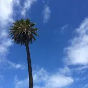 ドロシーの画像