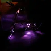 マグロ
