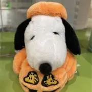 のぶ