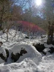 ビーギーズの画像