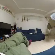 おりゅの画像