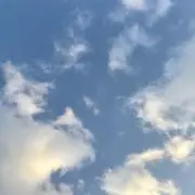 Okuraの画像