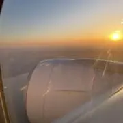 とうげんの画像