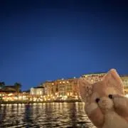 ゆかこの画像