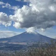 さくらもち