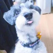 クロスケ