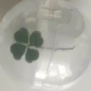 민이の画像