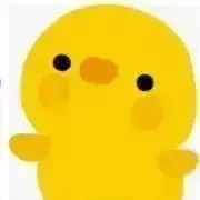 Yukiの画像