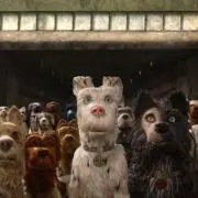 Shiba10の画像
