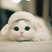 ひつじ