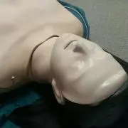 つぶあん@