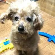 青空の画像