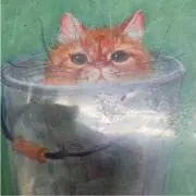 あこぎ