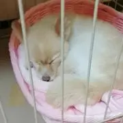 ☆りい☆ただ今セール中につき即購入不可