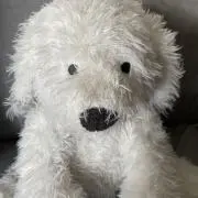 grauの画像