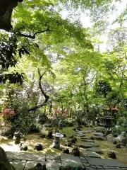 マサナオの画像