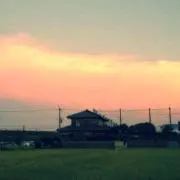 Aoi