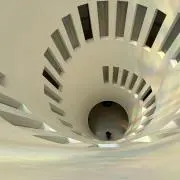kiyuriの画像