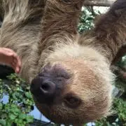 わくわくさん断捨離楽しい☆の画像
