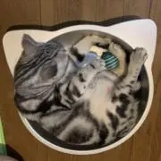 ベイカー➕Youの画像