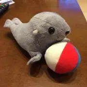 ノリスケの画像