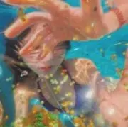 berryの画像