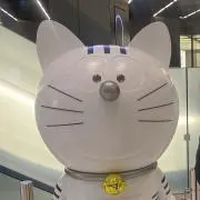 555の画像