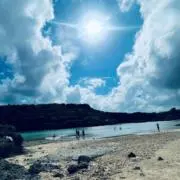 まるの画像