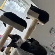 haruの画像