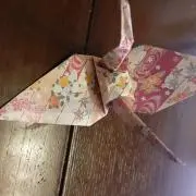 meg megの画像