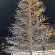 カッパ　まとめ買い大歓迎の画像