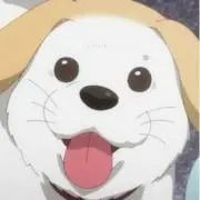 ちかっち