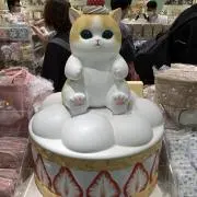 さめの画像