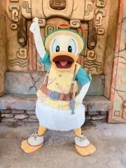 ぱたぱたの画像