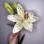 べび【値下げ交渉受け付けてます^_-)】の画像